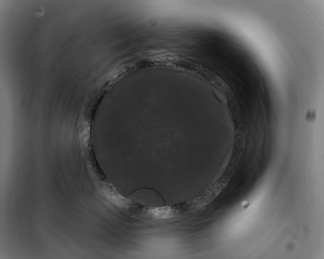 X0000099560767200806061539