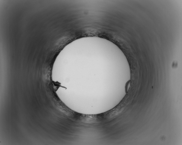 X0000099560768200806061539