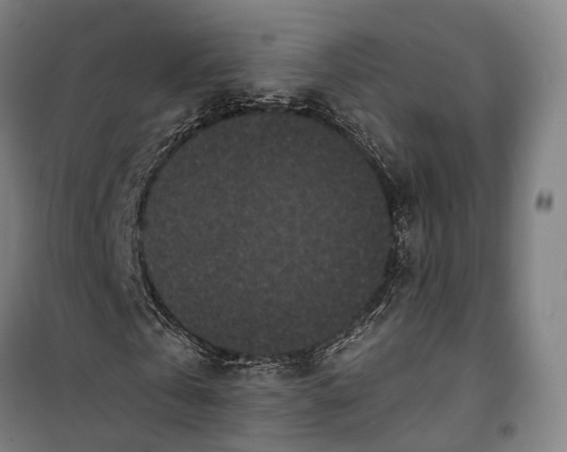 X0000099560769200806061539