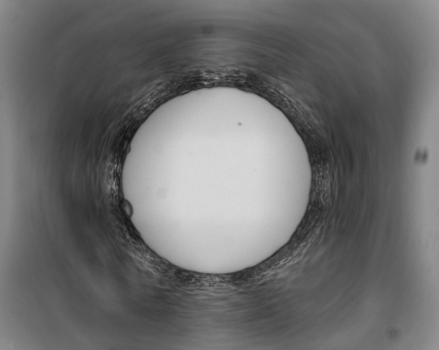 X0000099560770200806061539