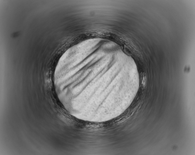 X0000099560771200806061539