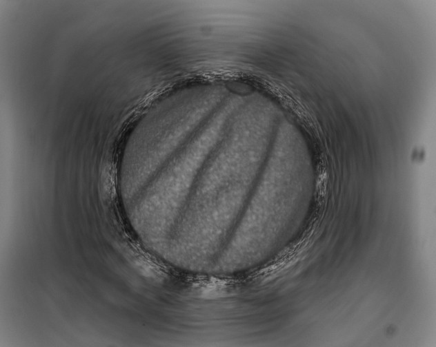 X0000099560772200806061539