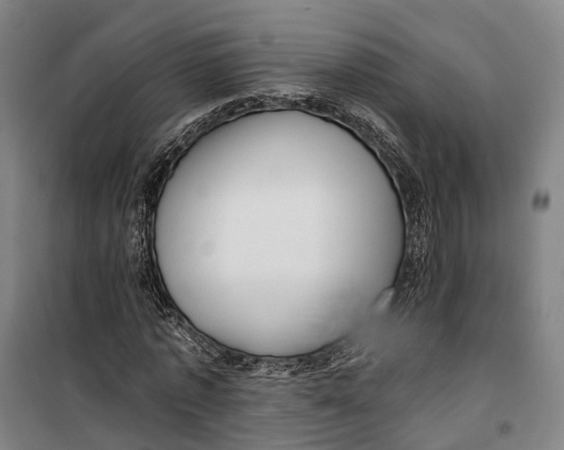 X0000099560773200806061539