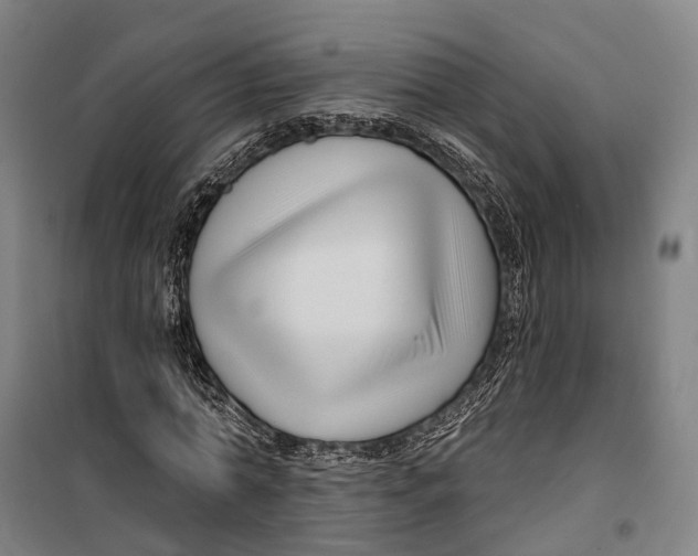 X0000099560774200806061539