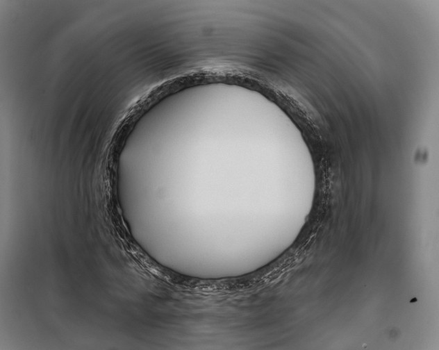 X0000099560776200806061539