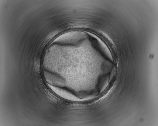 X0000099560777200806061539