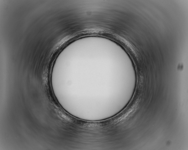 X0000099560778200806061539