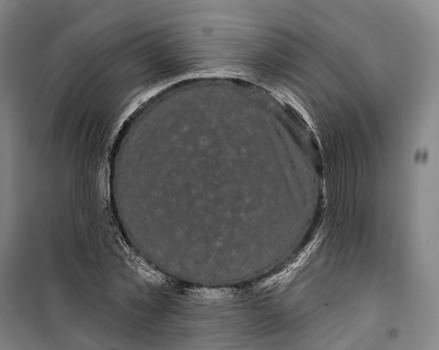 X0000099560781200806061539