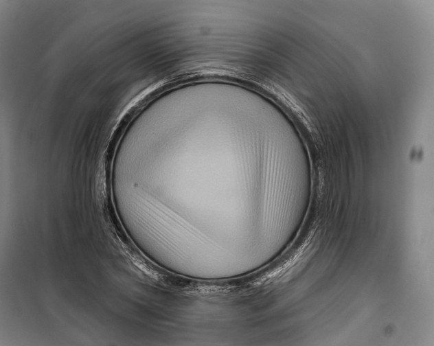 X0000099560782200806061539