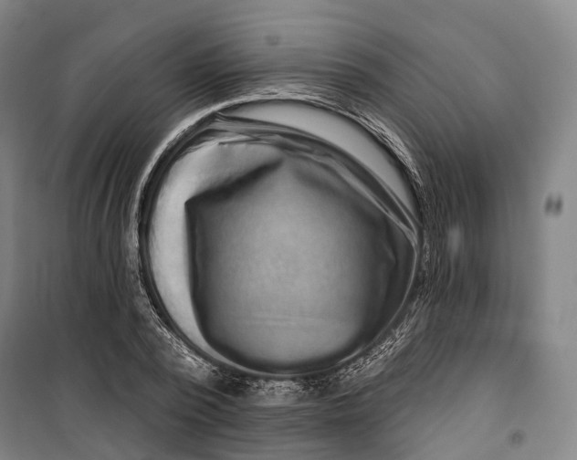 X0000099560784200806061539