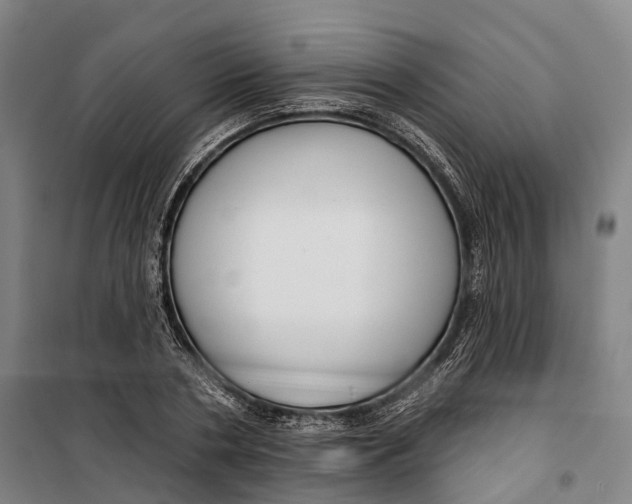 X0000099560786200806061539