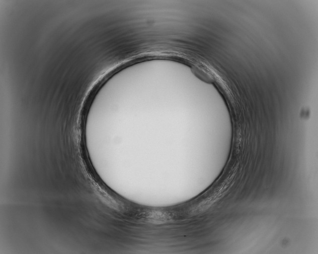 X0000099560787200806061539