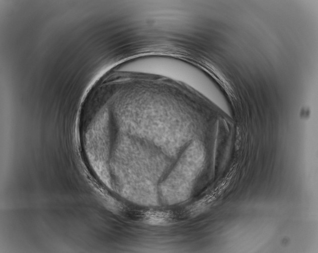 X0000099560788200806061539