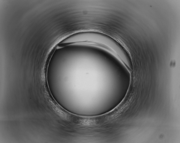 X0000099560789200806061539