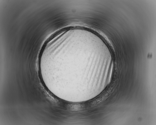 X0000099560791200806061538