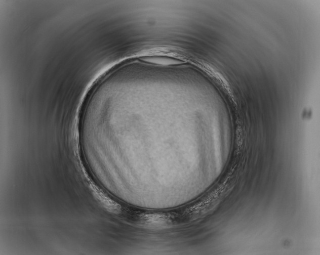 X0000099560792200806061538