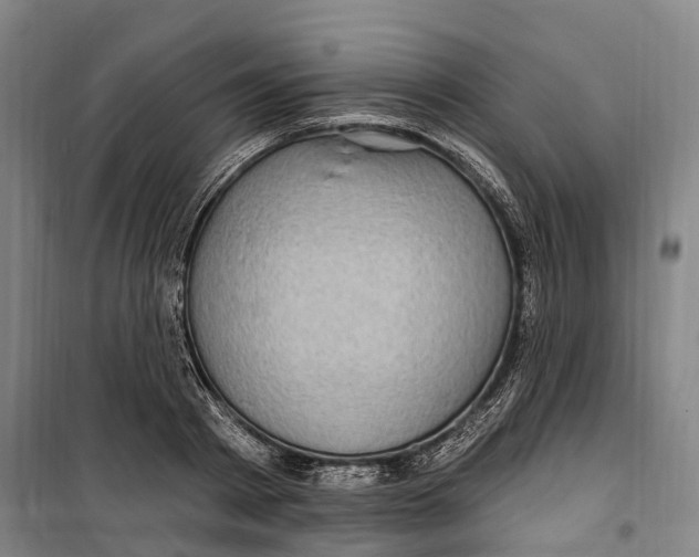 X0000099560793200806061538