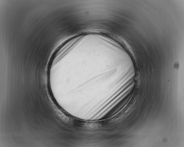 X0000099560795200806061538