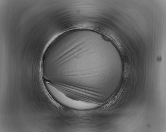 X0000099560796200806061538