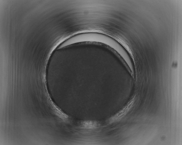 X0000099560797200806061538