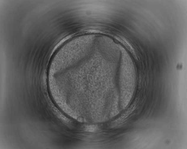 X0000099560798200806061538