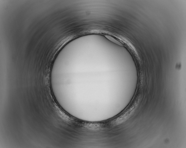 X0000099560801200806061538