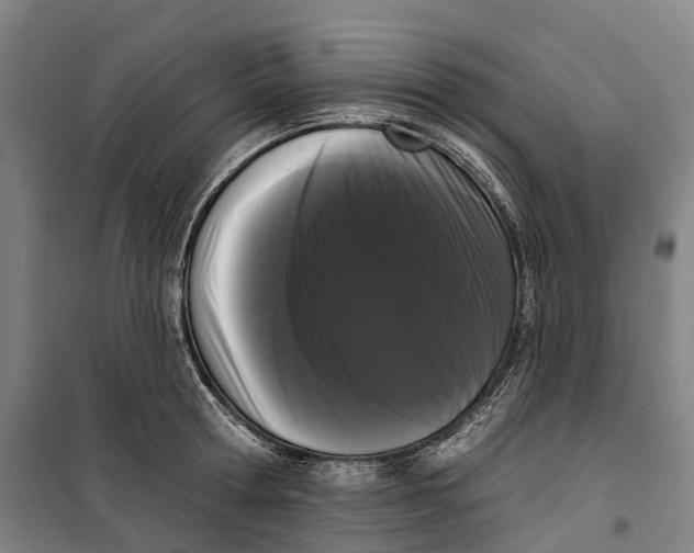 X0000099560802200806061538