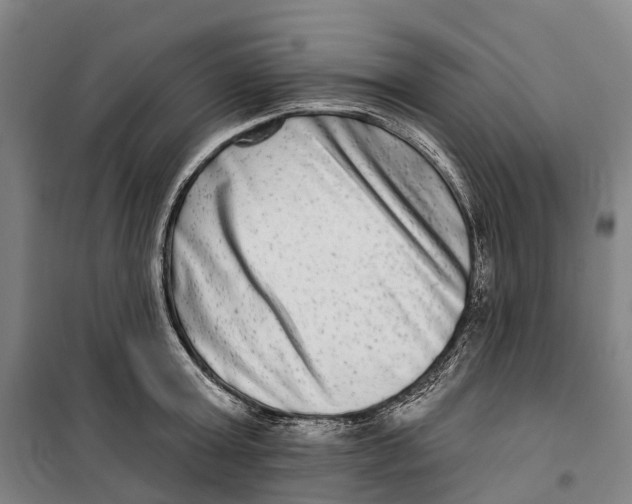 X0000099560803200806061538