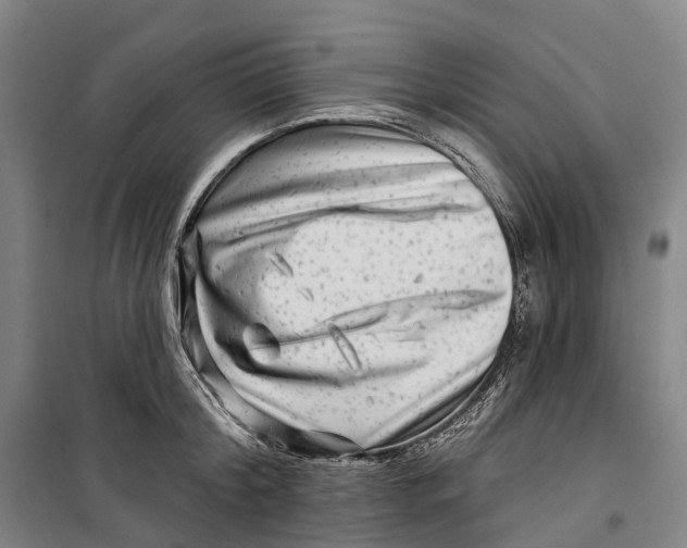 X0000099560804200806061538