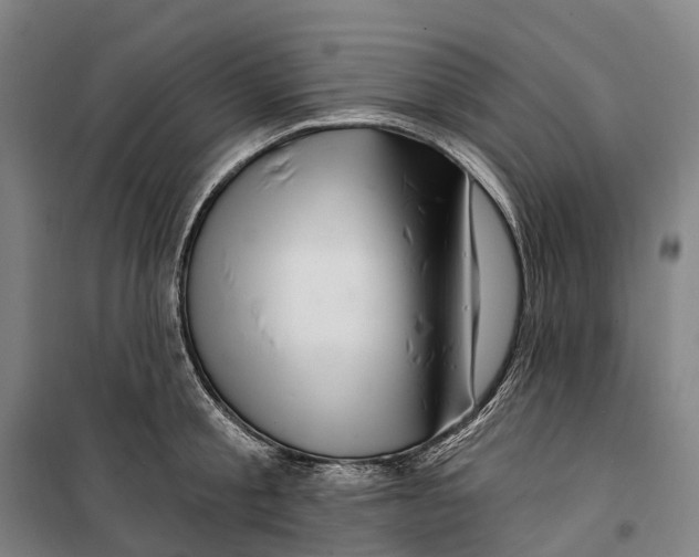 X0000099560805200806061538