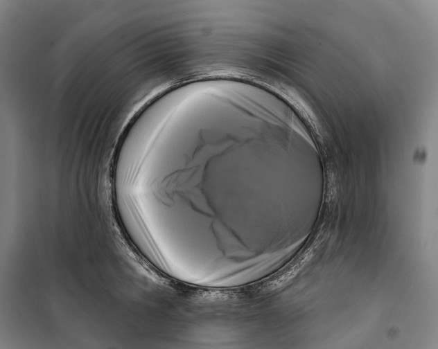 X0000099560806200806061538