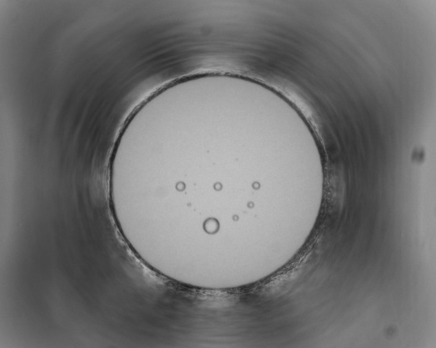 X0000099560807200806061538