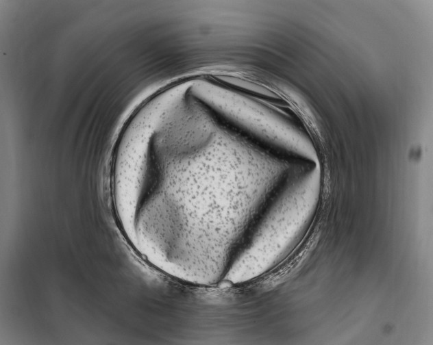 X0000099560808200806061538