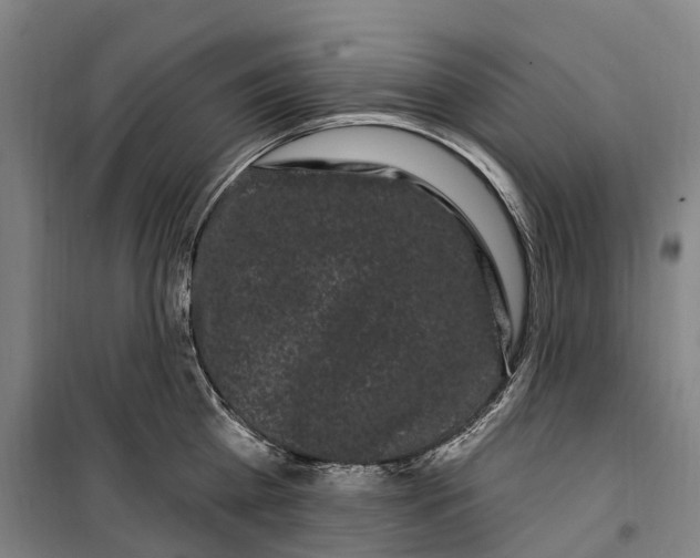 X0000099560809200806061538