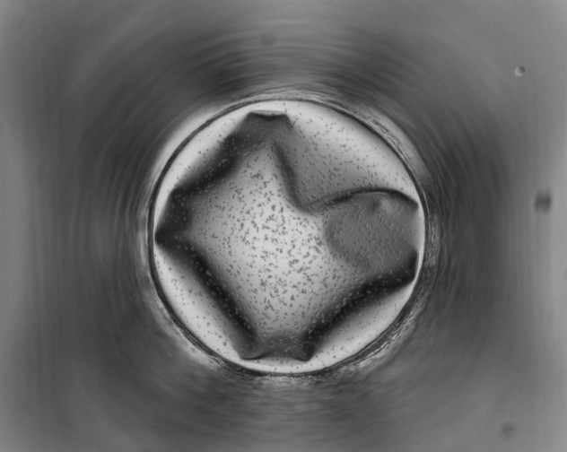 X0000099560812200806061538