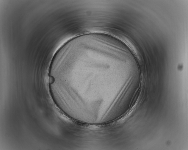 X0000099560814200806061538