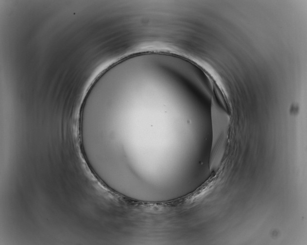 X0000099560815200806061538