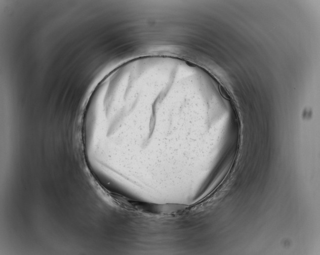 X0000099560816200806061538