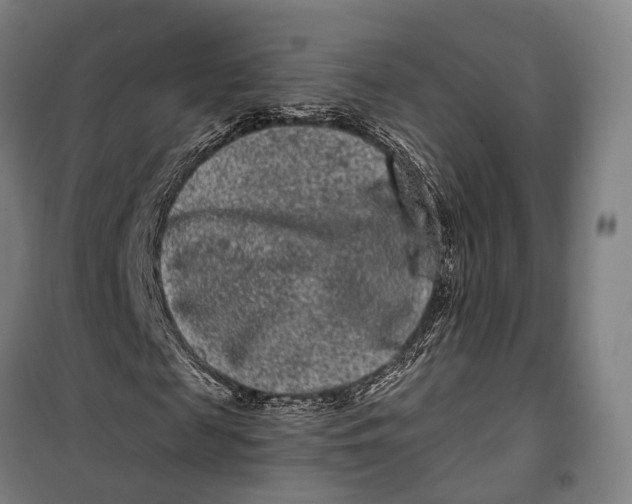 X0000099560817200806061537