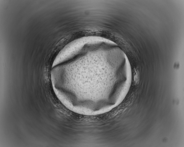 X0000099560819200806061537