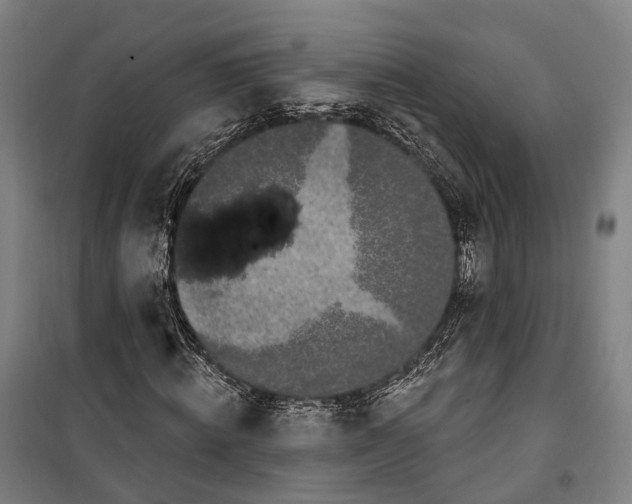 X0000099560820200806061538