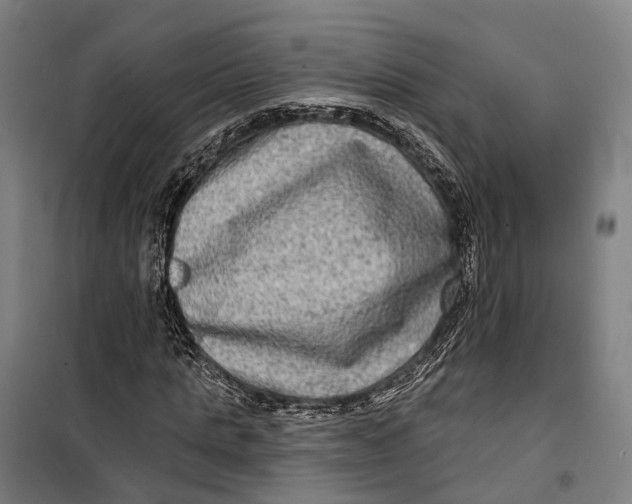 X0000099560821200806061538