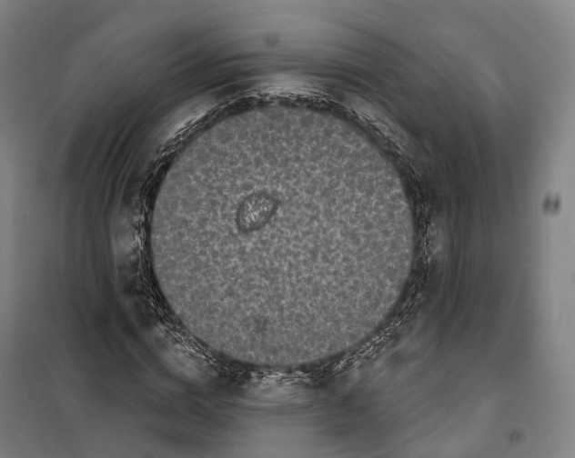 X0000099560824200806061538