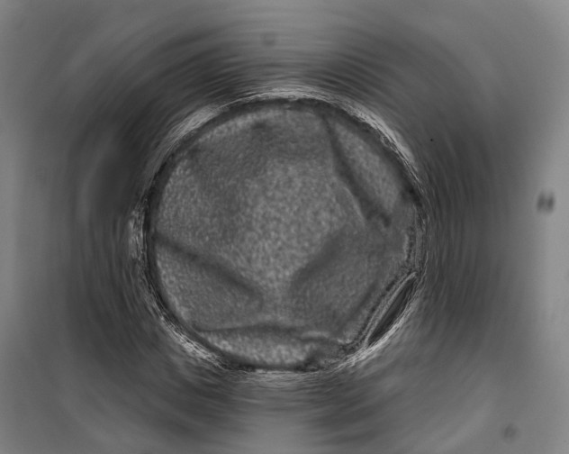 X0000099560825200806061538