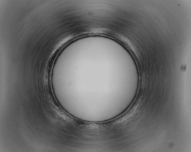 X0000099560827200806061538