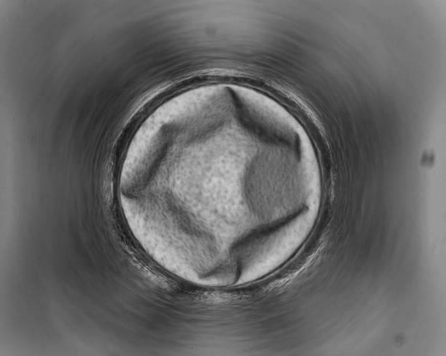 X0000099560829200806061538