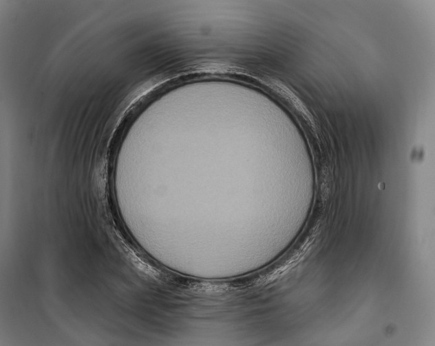 X0000099560831200806061538