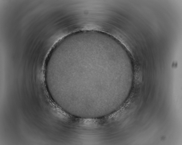 X0000099560832200806061538