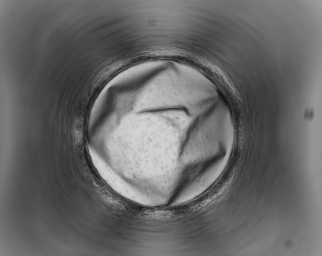 X0000099560833200806061538