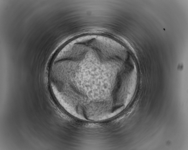 X0000099560835200806061538